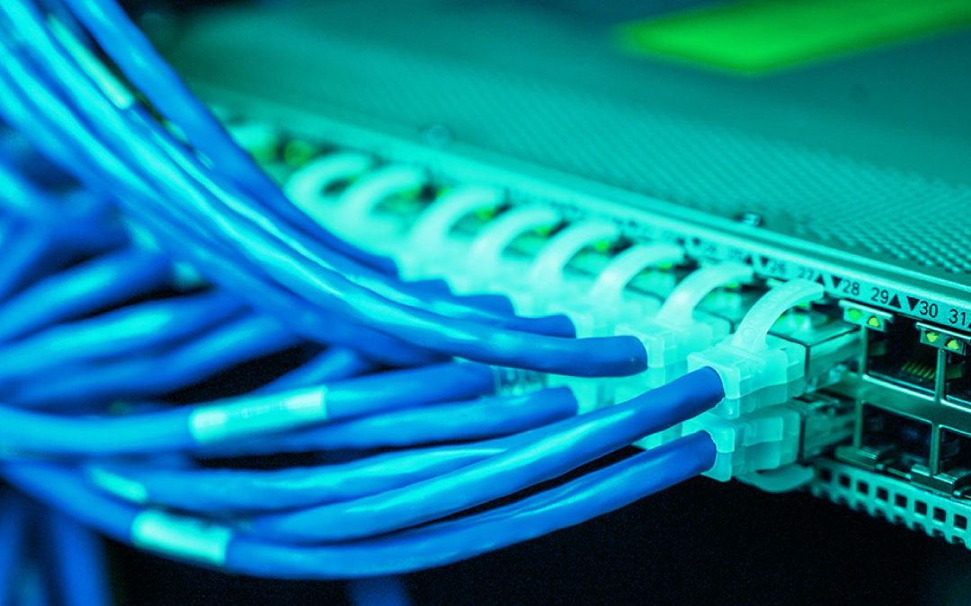 Sed dignissim lacinia